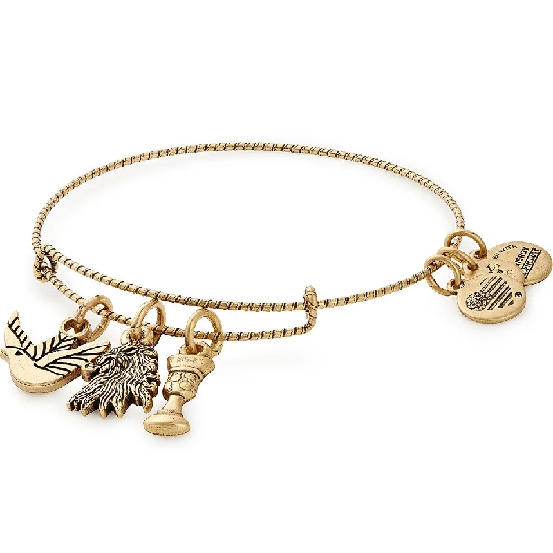 infinity couple’s ring matching set Game of Thrones™ House Lannister Charm Bangle