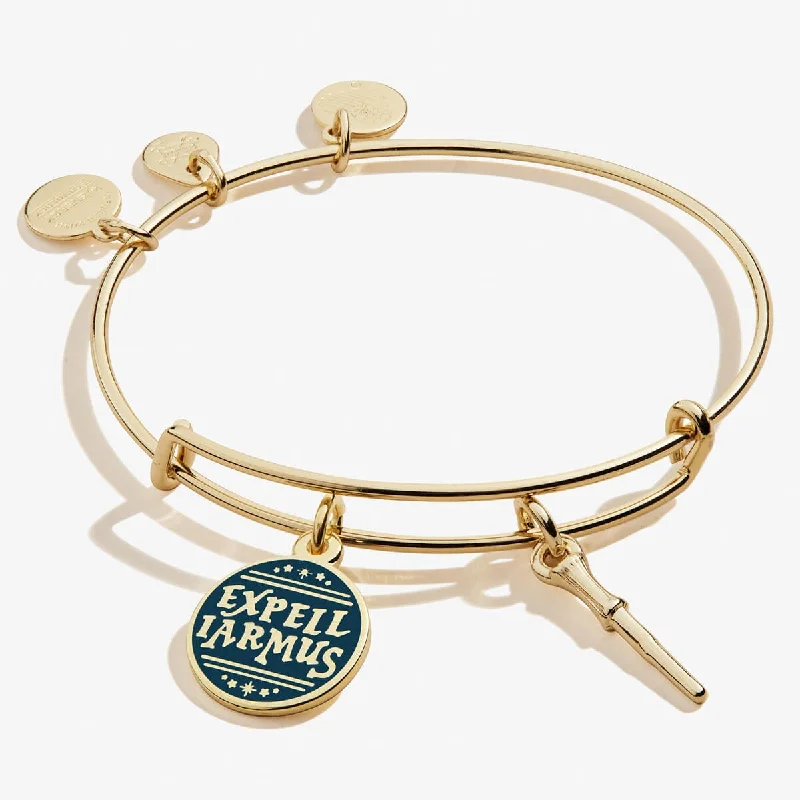 birthstone charm bracelet for mom Harry Potter™ Expelliarmus Duo Charm Bangle