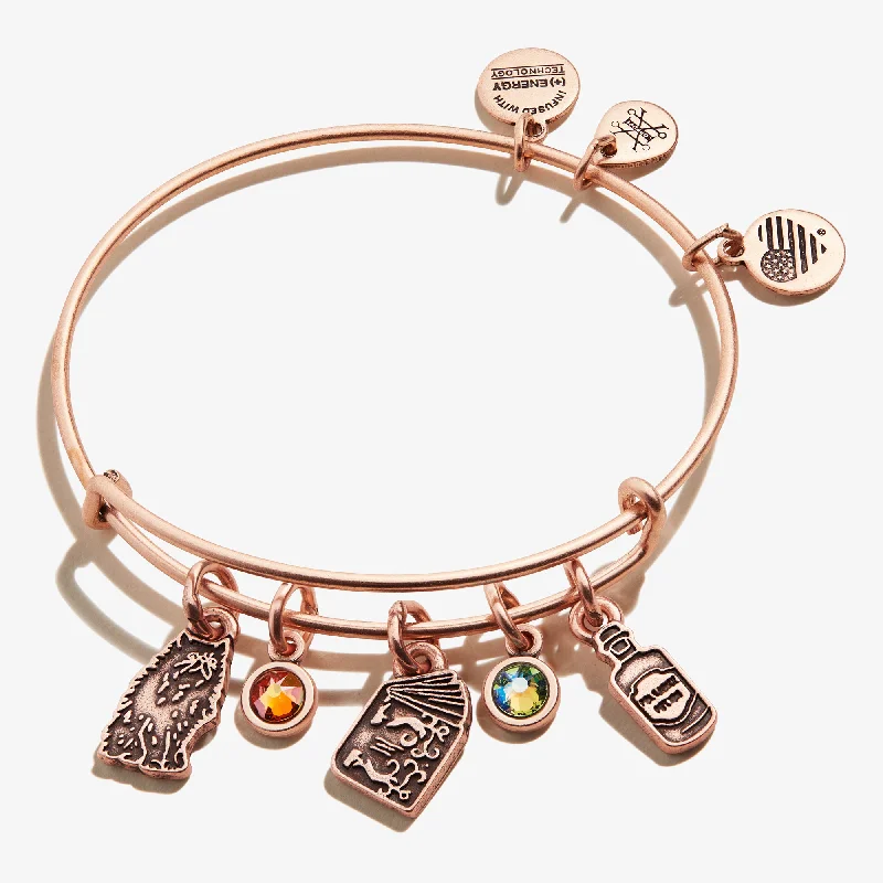vintage diamond pendant necklace Harry Potter™ Hermione Multi-Charm Bangle